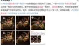 今日吃瓜爆料雷佳音,娱乐圈又一猛料曝光！